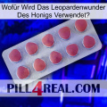 Wofür Wird Das Leopardenwunder Des Honigs Verwendet 18